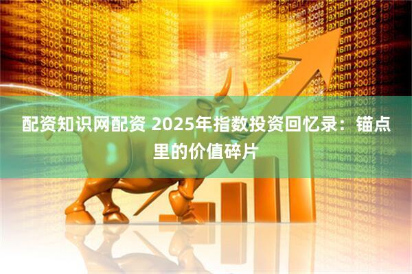 配资知识网配资 2025年指数投资回忆录：锚点里的价值碎片